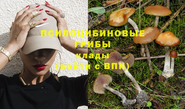 гидра Наволоки