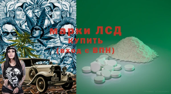 гидра Наволоки