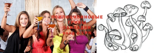 ECSTASY Навашино