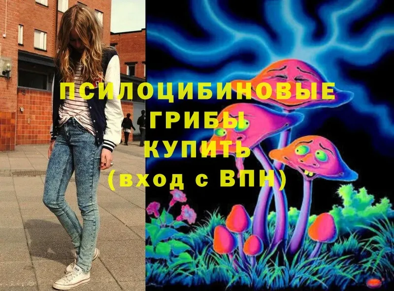 где купить   Старый Оскол  Псилоцибиновые грибы MAGIC MUSHROOMS 