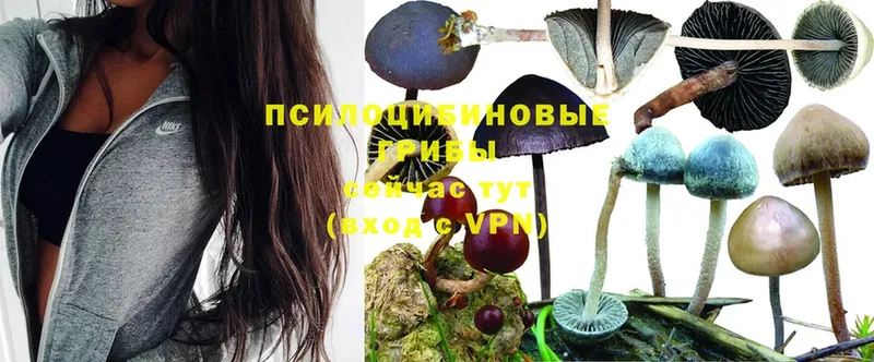 Галлюциногенные грибы MAGIC MUSHROOMS Старый Оскол